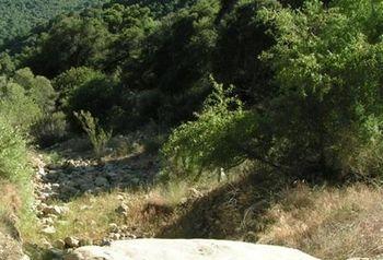 Rancho Oso Rv & Camping Resort Goleta Kültér fotó